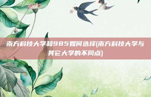 南方科技大学和985如何选择(南方科技大学与其它大学的不同点)