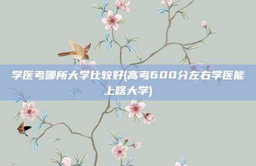 学医考哪所大学比较好(高考600分左右学医能上啥大学)