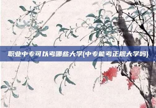 职业中专可以考哪些大学(中专能考正规大学吗)