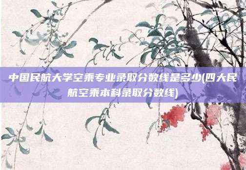中国民航大学空乘专业录取分数线是多少(四大民航空乘本科录取分数线)