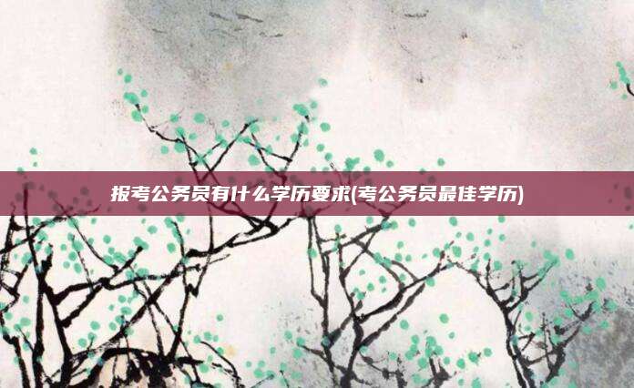 报考公务员有什么学历要求(考公务员最佳学历)