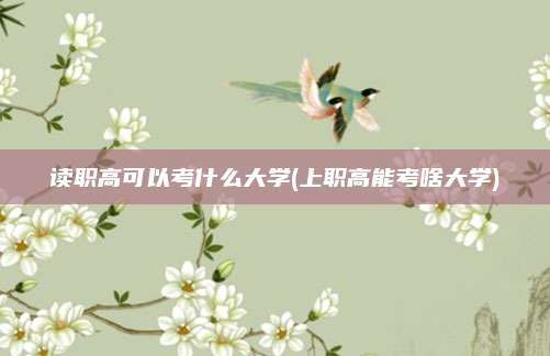 读职高可以考什么大学(上职高能考啥大学)