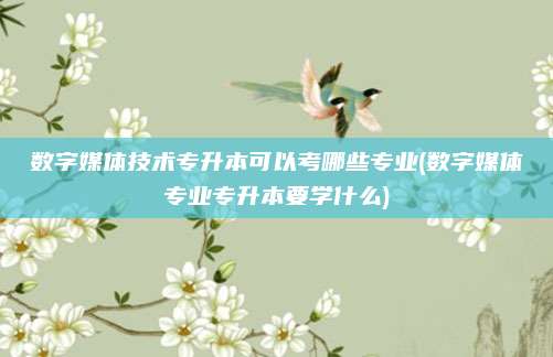 数字媒体技术专升本可以考哪些专业(数字媒体专业专升本要学什么)