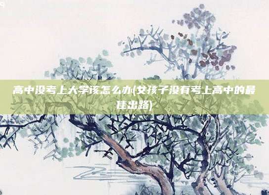 高中没考上大学该怎么办(女孩子没有考上高中的最佳出路)