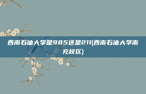 西南石油大学是985还是211(西南石油大学南充校区)