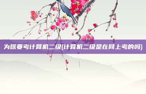 为啥要考计算机二级(计算机二级是在网上考的吗)