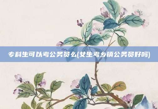 专科生可以考公务员么(女生考乡镇公务员好吗)