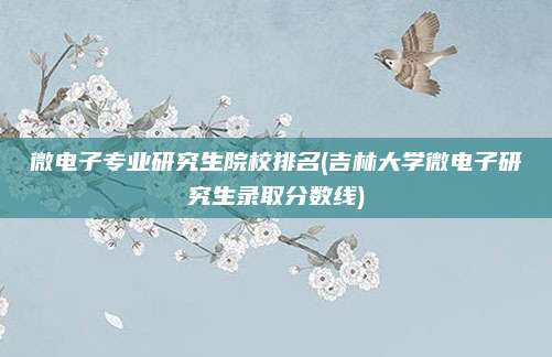 微电子专业研究生院校排名(吉林大学微电子研究生录取分数线)