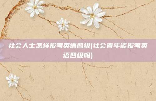 社会人士怎样报考英语四级(社会青年能报考英语四级吗)