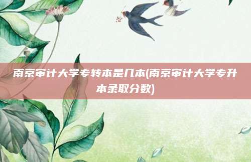 南京审计大学专转本是几本(南京审计大学专升本录取分数)