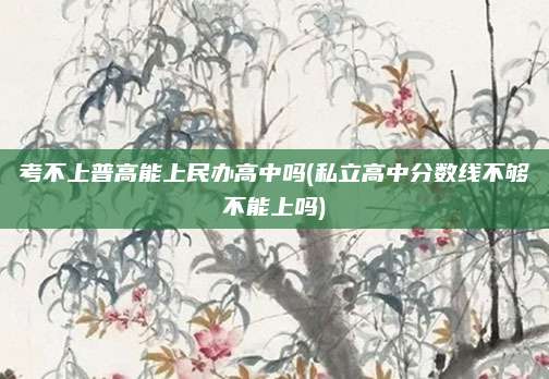 考不上普高能上民办高中吗(私立高中分数线不够不能上吗)