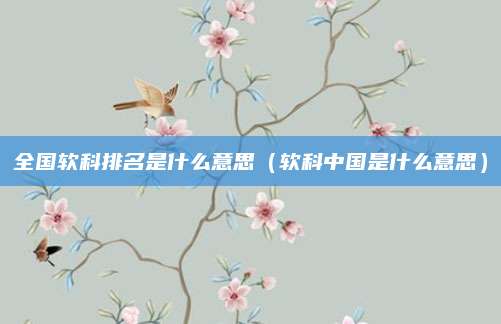 全国软科排名是什么意思(软科中国是什么意思)