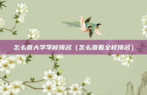 怎么查大学学校排名(怎么查看全校排名)
