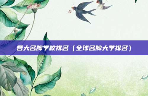 各大名牌学校排名(全球名牌大学排名)