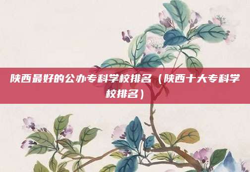 陕西最好的公办专科学校排名(陕西十大专科学校排名)