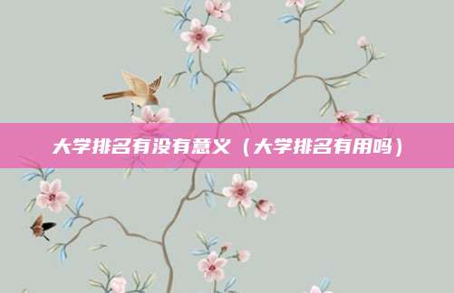 大学排名有没有意义(大学排名有用吗)