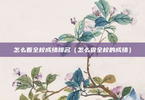 怎么看全校成绩排名(怎么查全校的成绩)
