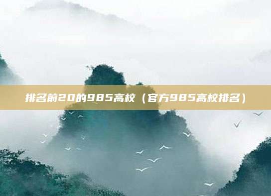 排名前20的985高校(官方985高校排名)