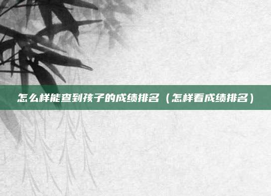 怎么样能查到孩子的成绩排名(怎样看成绩排名)
