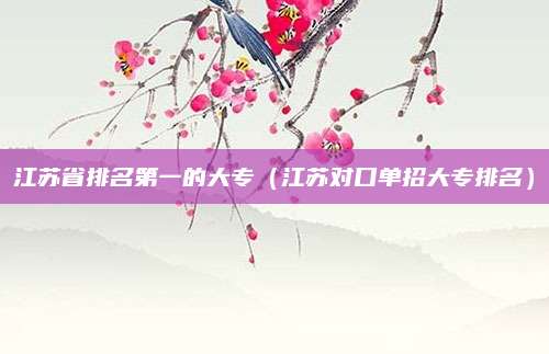 江苏省排名第一的大专(江苏对口单招大专排名)