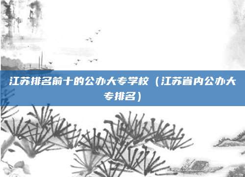 江苏排名前十的公办大专学校(江苏省内公办大专排名)