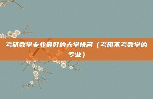 考研数学专业最好的大学排名(考研不考数学的专业)