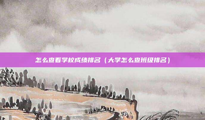 怎么查看学校成绩排名(大学怎么查班级排名)