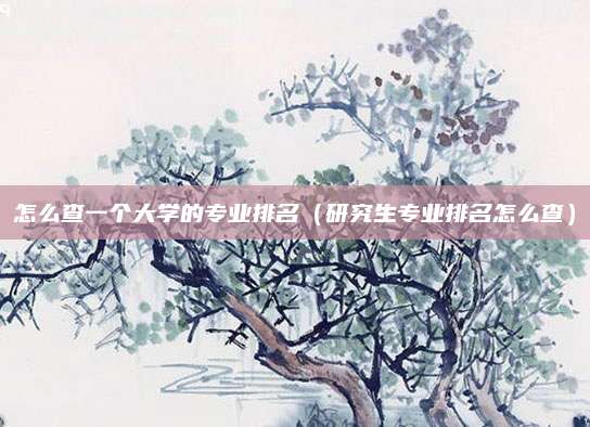 怎么查一个大学的专业排名(研究生专业排名怎么查)