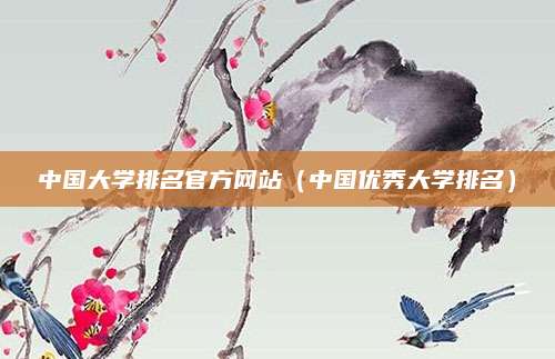 中国大学排名官方网站(中国优秀大学排名)
