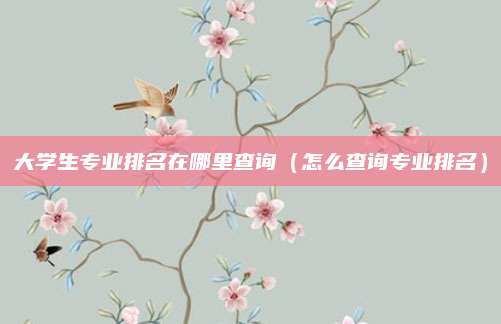 大学生专业排名在哪里查询(怎么查询专业排名)