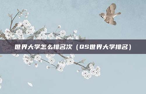 世界大学怎么排名次(QS世界大学排名)