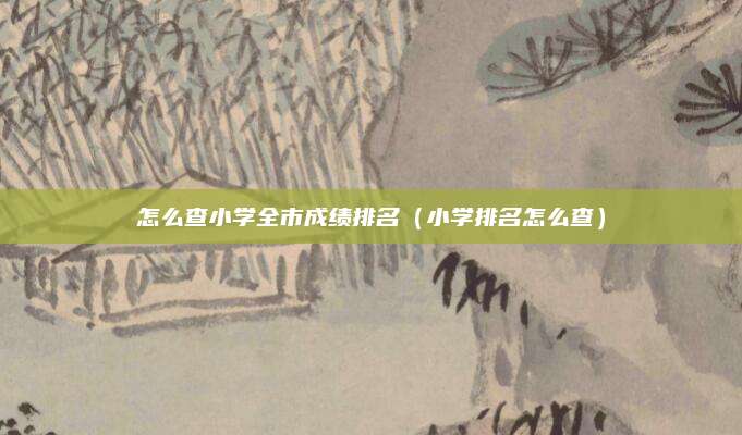 怎么查小学全市成绩排名（小学排名怎么查）