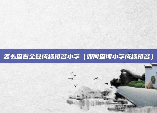 怎么查看全县成绩排名小学(如何查询小学成绩排名)