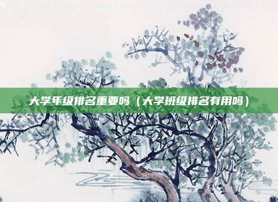 大学年级排名重要吗(大学班级排名有用吗)