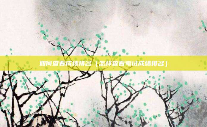 如何查看成绩排名(怎样查看考试成绩排名)