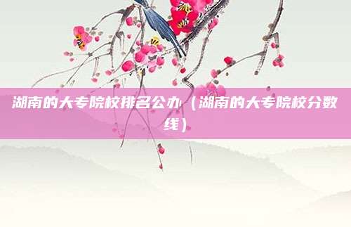 湖南的大专院校排名公办(湖南的大专院校分数线)