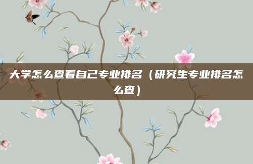 大学怎么查看自己专业排名(研究生专业排名怎么查)