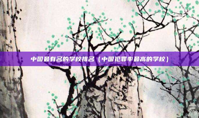 中国最有名的学校排名(中国犯罪率最高的学校)