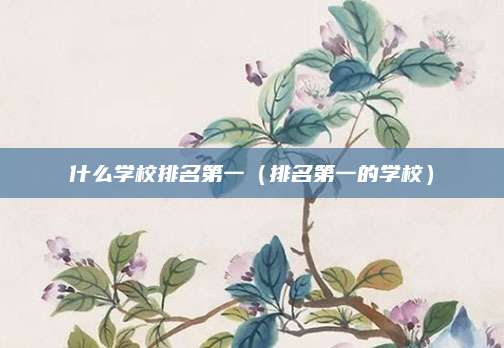 什么学校排名第一（排名第一的学校）