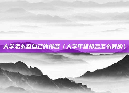 大学怎么查自己的排名(大学年级排名怎么算的)