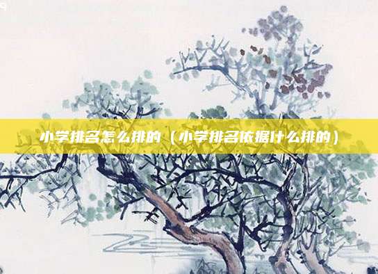 小学排名怎么排的（小学排名依据什么排的）