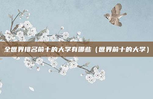 全世界排名前十的大学有哪些(世界前十的大学)