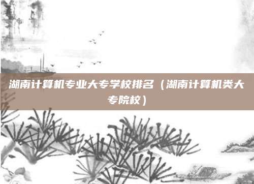 湖南计算机专业大专学校排名(湖南计算机类大专院校)