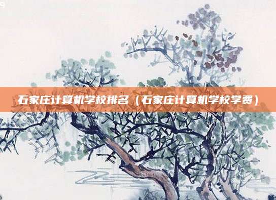 石家庄计算机学校排名(石家庄计算机学校学费)