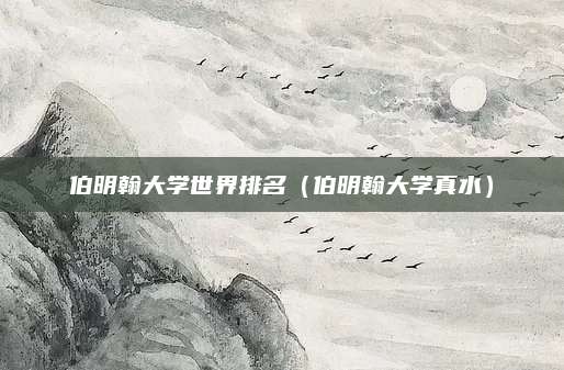伯明翰大学世界排名(伯明翰大学真水)