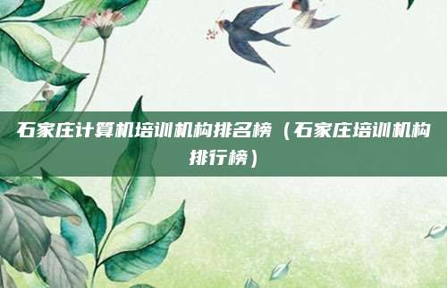 石家庄计算机培训机构排名榜(石家庄培训机构排行榜)