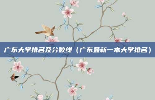 广东大学排名及分数线(广东最新一本大学排名)
