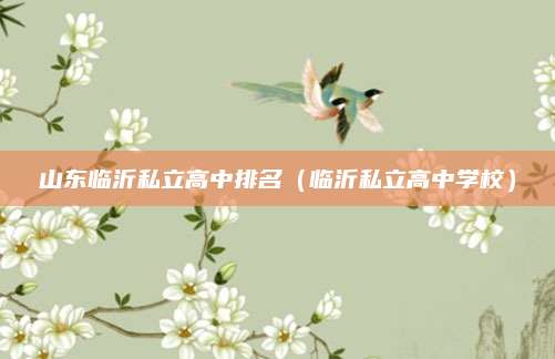 山东临沂私立高中排名(临沂私立高中学校)
