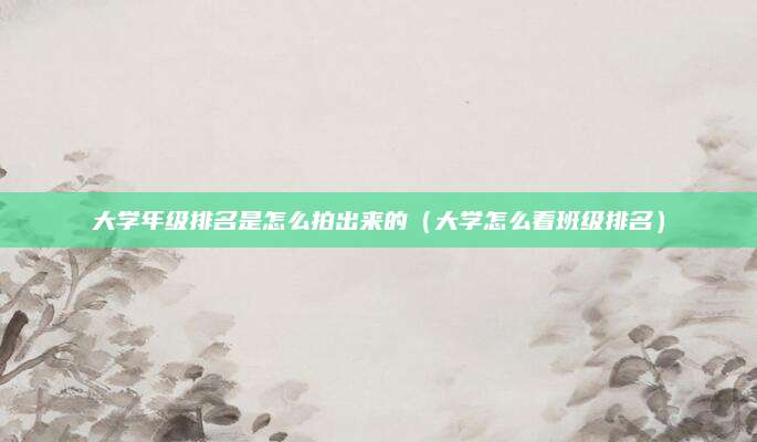 大学年级排名是怎么拍出来的（大学怎么看班级排名）