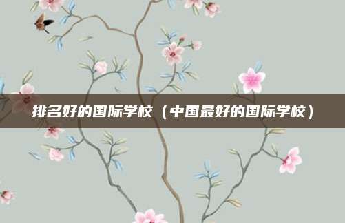 排名好的国际学校(中国最好的国际学校)